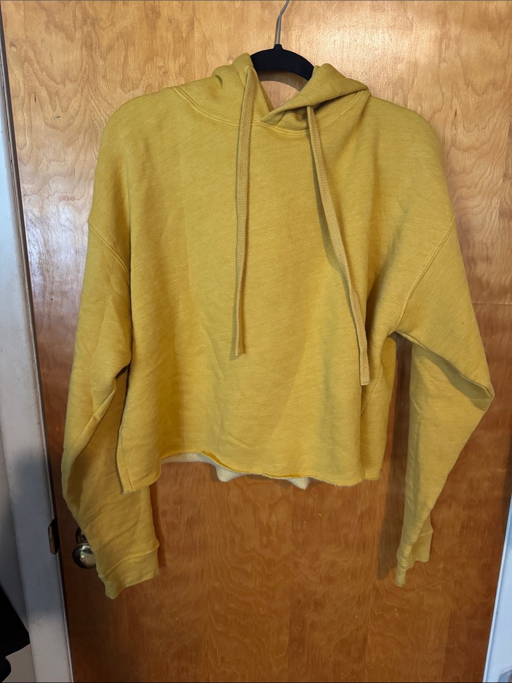 Alo Yoga vintage boxy hoodie